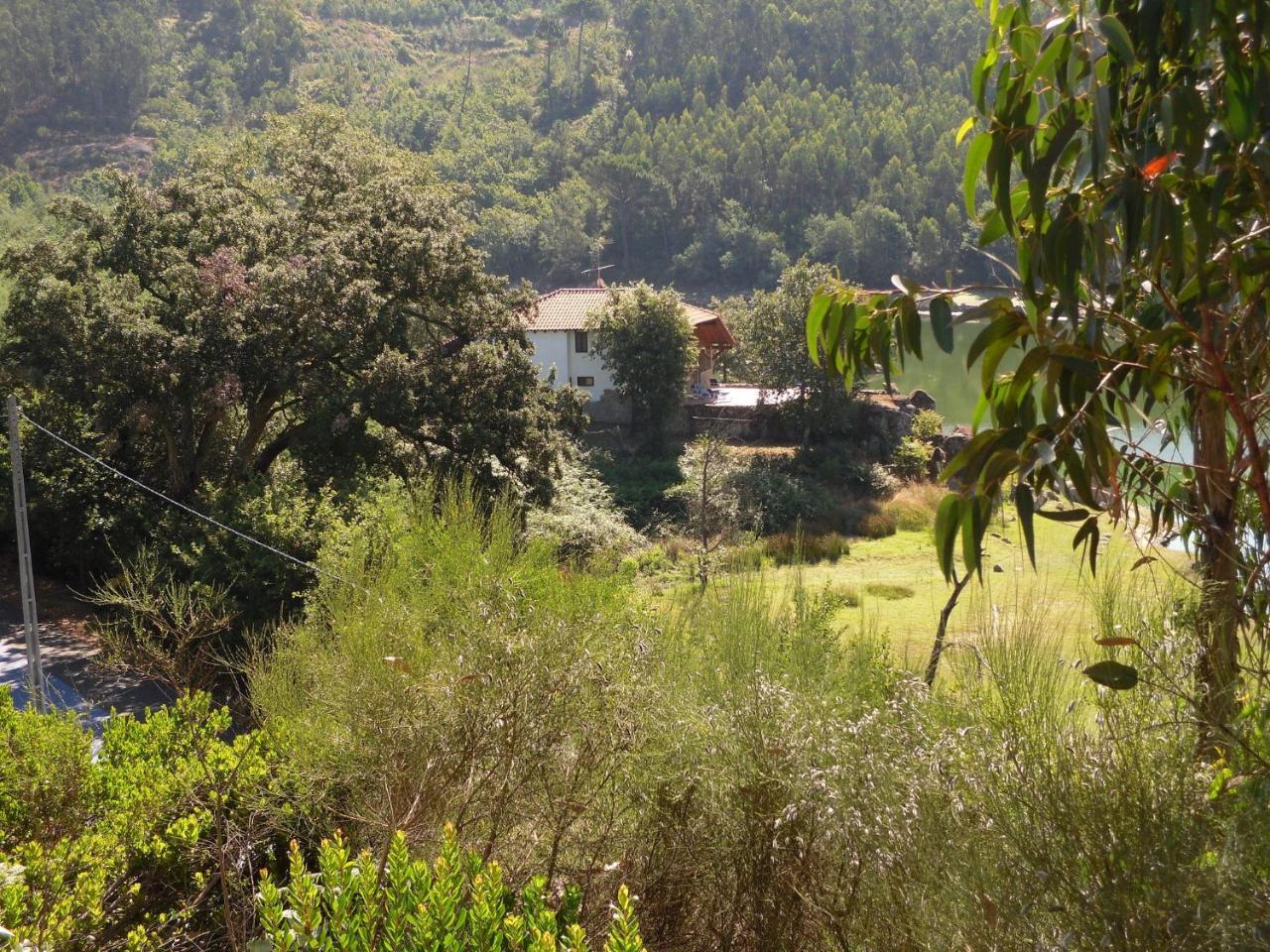 Traditional Mansion In Treixedo With Swimming Pool Exterior foto